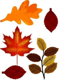 Printable Autumn Leaves Cut Outs